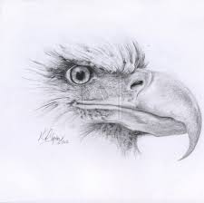 Eagle By Kiriwho On Deviantart Eagle Drawing Native Art Animal Design