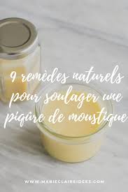 9 Remedes Naturels Pour Soulager Une Piqure De Moustique Piqure De Moustique Remedes Naturels Apaiser Piqure Moustique