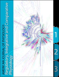Cardiac output, at rest and during exercise, before and during myocardial  ischemia, reperfusion, and infarction in conscious mice