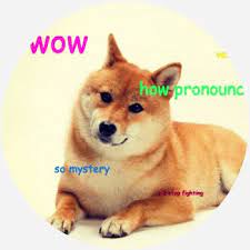 Wow so geometry very triangle many math doge is hypotenusepic.twitter.com/v2mmtnurnf. Doge Dictionary Com