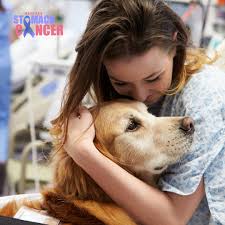 Therapy animals bring comfort to cancer patients