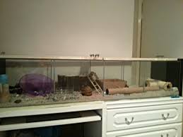 Live A Little Hamster Diy Ikea Detolf Cage Lid Ikea Detolf Hamster Diy Ikea Diy