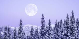 The different types of moons are: What December 2020 S Full Moon In Cancer Means For Your Sign