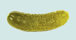 Pickle — python object serialization. 18 Things Only Pickle Haters Understand Urban List