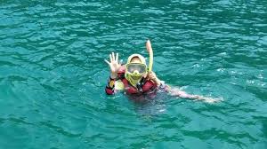 Rute perjalanan dari kota banyuwangi menuju teluk hijau. 6 Surga Snorkeling Di Jawa Timur Mulai Dari Gili Ketapang Hingga Teluk Banyu Biru Banyuwangi Halaman 3 Tribun Travel