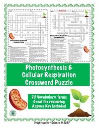 We did not find results for: Photosynthesis Crossword Puzzle Worksheets Teaching Resources Tpt