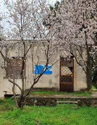 Kifissia Athens In 2020 Kifissia Garden Arch Outdoor Structures