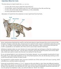 Some diabetic cat owners make their own treats by taking an approved canned cat food and using that is as the base to make. Pin On Vet Info