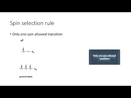 We found one dictionary with english definitions that includes the word laporte selection rule: Spin Selection Rule Youtube