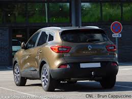 Image result for Brun Cannelle 1982 Renault