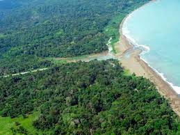 It is compulsory to have a nature guide with you for visiting the remote wilderness of corcovado. Corcovado Nationalpark Ara Tours Reliable Responsible Relevant