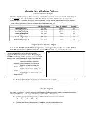 Key key key key key key. Copy Of Amoeba Sisters Pedigree Activity Directions Consider A Pedigree That Is Tracking An Autosomal Recessive Trait Where Two Recessive Alleles Tt Course Hero