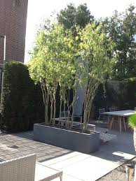 Weitere ideen zu wasserablauf, wasserhahn garten, wasserzapfsäule garten. Zink Pflanzgefasse Garten Wohnen