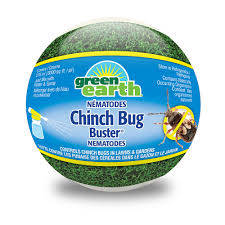 Green Earth Green Earth Chinch Bug Busters Nematodes The Home Depot Canada