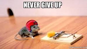 Never Give Up Never Give Up Favorite Character Funny Memes