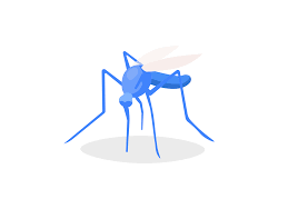We did not find results for: Mosquito Bite Symptoms Causes Treatment Options