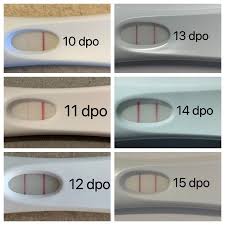 When Does The Test Stop Getting Darker Babycenter