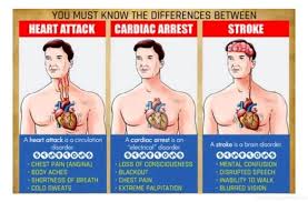 Heart attack and cardiac arrest are two clinical conditions which are often used synonymously in clinical settings. The Big Difference Between Heart Attack Stroke And Cardiac Arrest This May Surprise You Razmataz Cardiac Nursing Medical Knowledge Medical Education