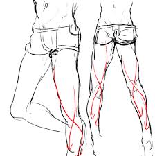 If would be lovely, though, if someone could find tutorials on how to draw men who are not buff, as i consider it most attractive that way honestly xd. Male Body Reference Drawing Legs Novocom Top