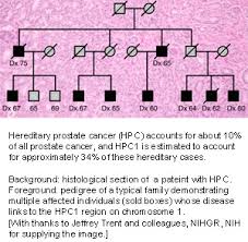 If your diagnosis is thyroid cancer, you may be able to breathe a bit easier, as it's one of the most treatable cancers when caugh. Prostate Cancer Genes And Disease Ncbi Bookshelf