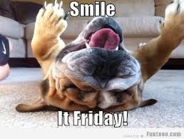 Its friday meme for kids. Beagle Its Friday Quotes Quotesgram