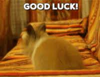 Maybe you would like to learn more about one of these? Good Luck Gifs Get The Best Gif On Gifer
