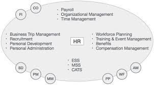 Sap Modules Organizational Management Recruitment Training Travel Management