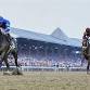 Michter's presents: Triple Crown The Belmont Stakes