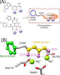 Image result for Integrase Strand Transfer Inhibitor