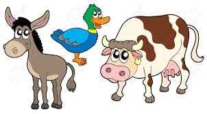Cow And Donkey Illustration Google Search