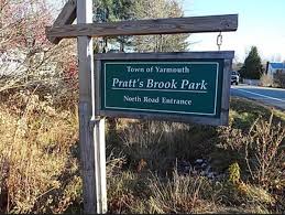Brook Park
