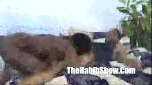 Why would married couples use condoms? Amatuer Sex Tape By Hood Couple P3 Of 3 Xvideos Com