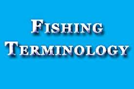 Fishing Terminology Words And Fishing Slang Defined Bass
