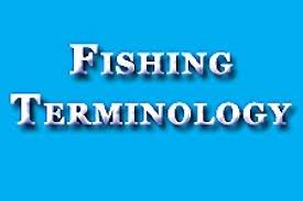 fishing terminology words and fishing slang defined bass