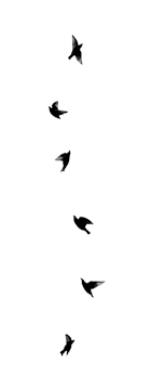Pin By Batgis On W A L K T A L K Freedom Tattoos Bird Tattoos Arm Flying Bird Tattoo