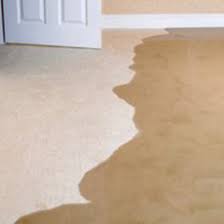 We are looking for carpet for our basement. How To Waterproof A Concrete Basement Floor Rawlins Paints Blog