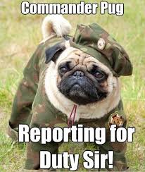 Commander Pug