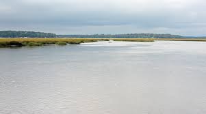Sapelo River Wikipedia