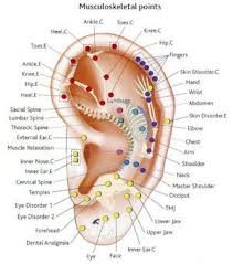 Folsom Chinese Acupuncture Center Folsom Ca Auricular