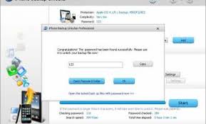 In the following screen, click standard repair to get into the firmware download page. Iphone Backup Unlocker Professional 3 3 1 0