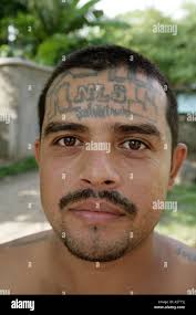 Gang tattoos hi-res stock photography and images