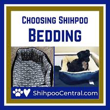 New Video What We Ve Learned About Choosing The Right Bedding And When For Our Two Shihpoos In The End There Are Lots Of In 2020 Shih Poo Learning Choose The Right
