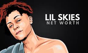 Lil Skies Net Worth In 2020 Wealthy Gorilla Stream tracks and playlists from lil skies on your desktop or mobile device. lil skies net worth in 2020 wealthy