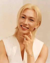 Stray Kids is a great k-pop group