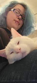 Hello my cat is missing from Bishopmill, please can people keep an eye out.  He's completely black with long legs and looks young.