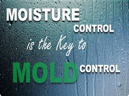 Prevent moisture buildup and product stain; 10 Ways To Prevent Basement Mold Commonwealth Insurance