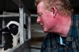 Fintry shepherd reveals the toil, joy and sadness of lambing season