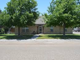 1501 S Leon Ave Monahans Tx 79756 Mls 119482 Zillow In 2020 Backyard Zillow Wood Burning Fireplace
