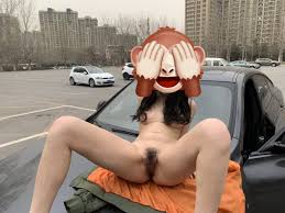 叮叮咚(@Raikajiang)  X