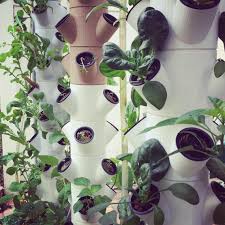 We did not find results for: Hydroponic Garden Easy System To Get You Started Ikea Hackers